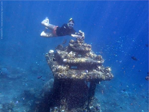 Snorkeling at Jemeluk beach, Indonesia