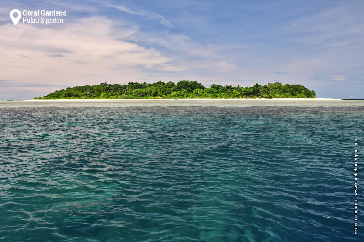 Sipadan Island from the Coral Gardens