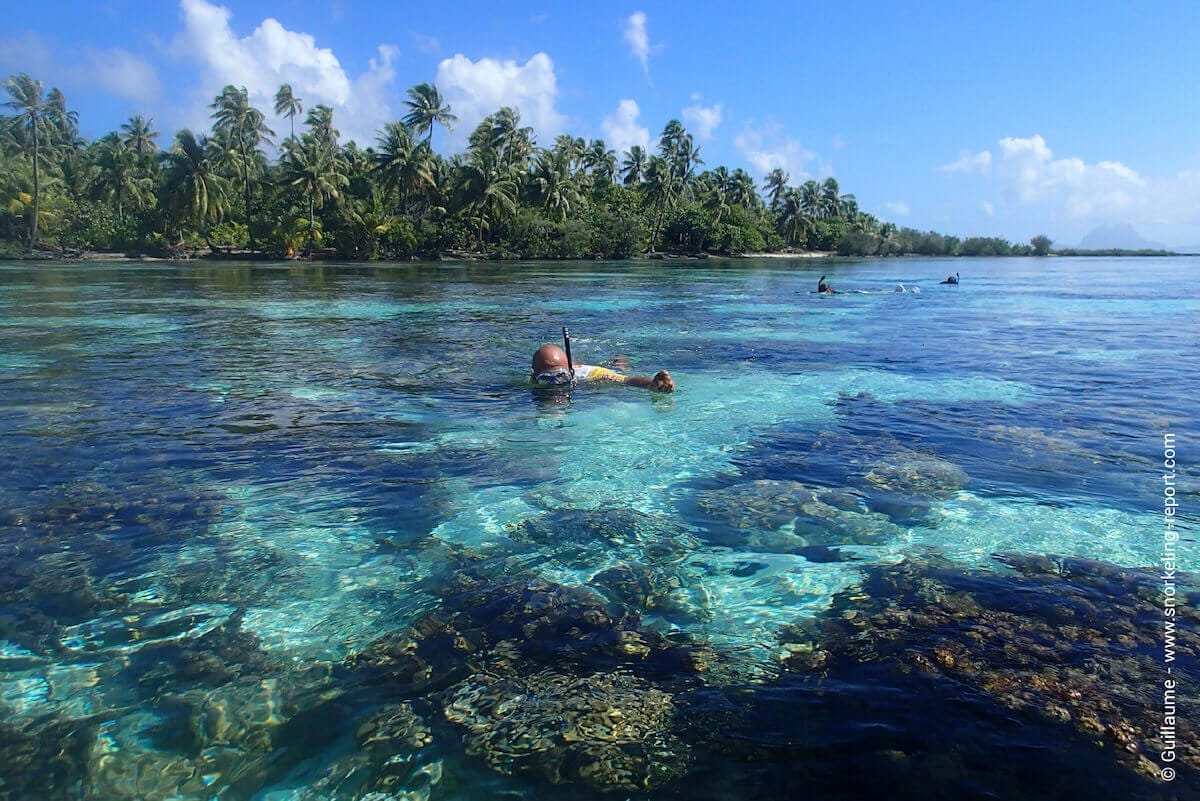 Snorkelers at Tahaa's Coral Garden