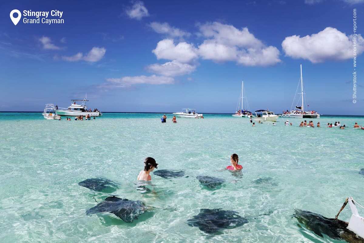 Snorkelers and stingrays at Stingray City