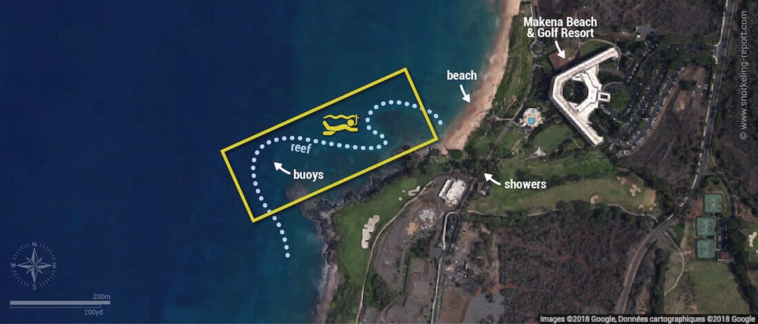 Turtle Town Maui snorkeling map