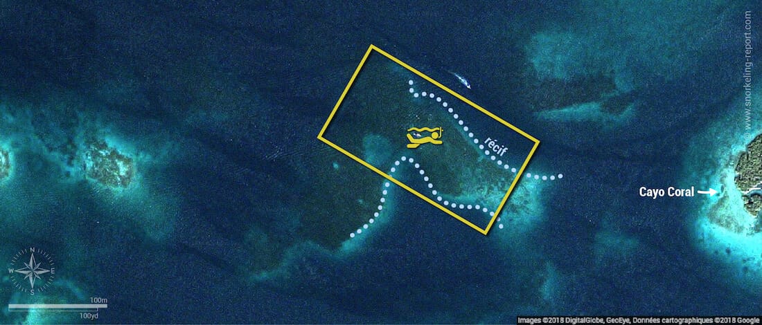 Carte snorkeling à Cayo Coral, Bocas del Toro