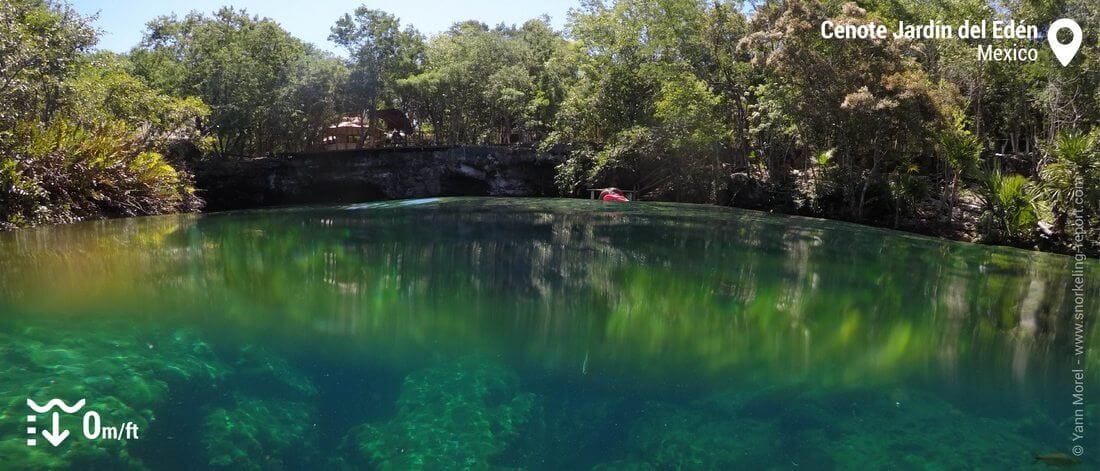 Cenote Jardin del Eden, Mexico