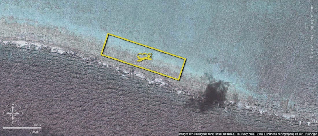 The Coral Gardens snorkeling map, Belize