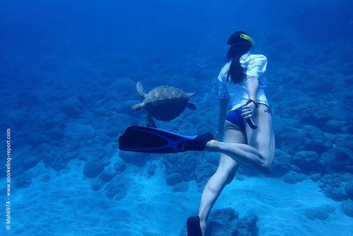 Un snorkeleur observe une tortue marine à Boucan Canot