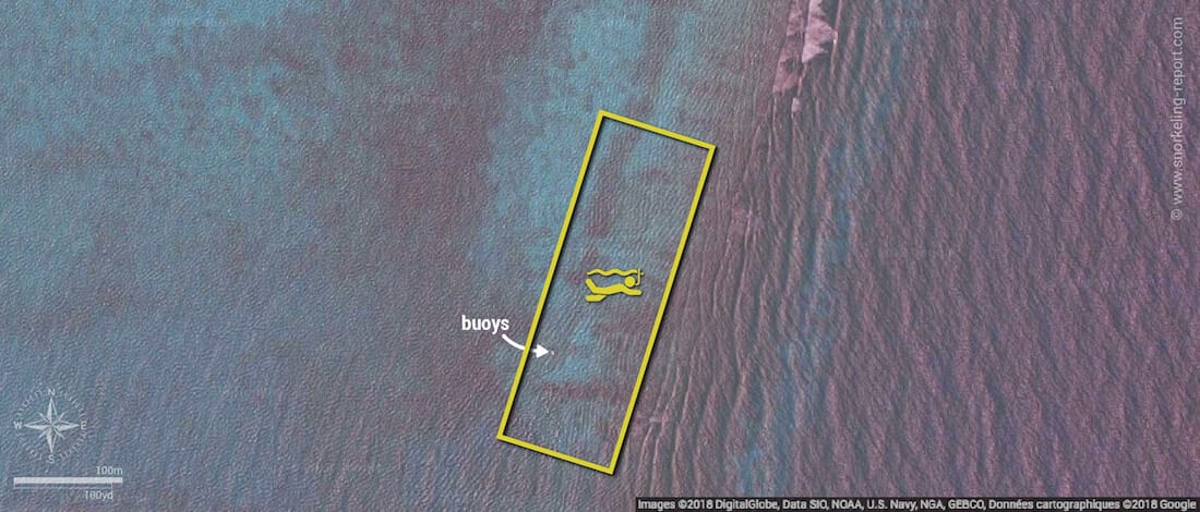 Shark Ray Alley snorkeling map, Belize