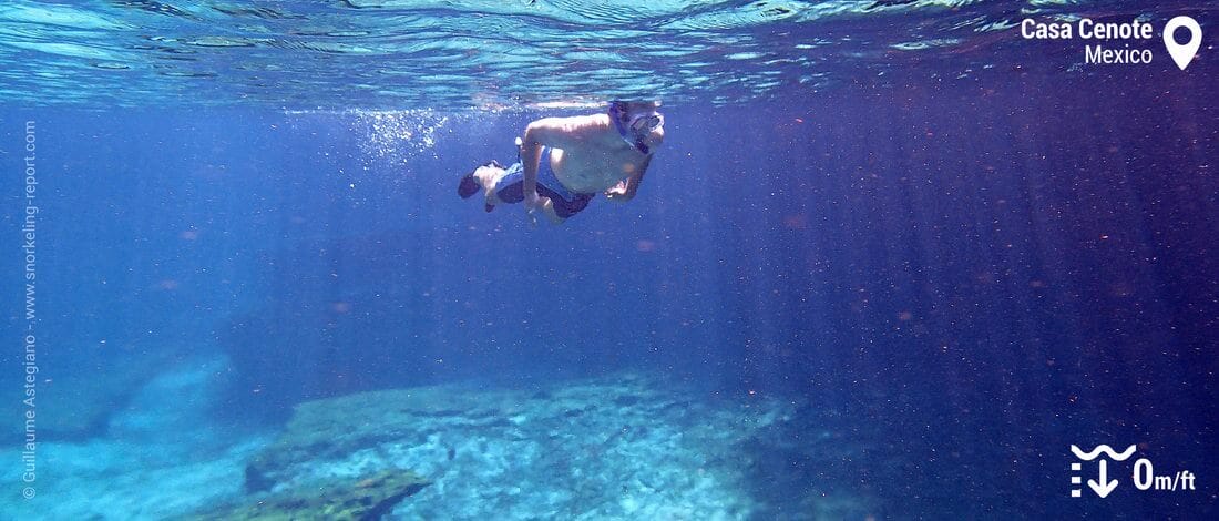 Snorkeler in the Casa Cenote, Mexico