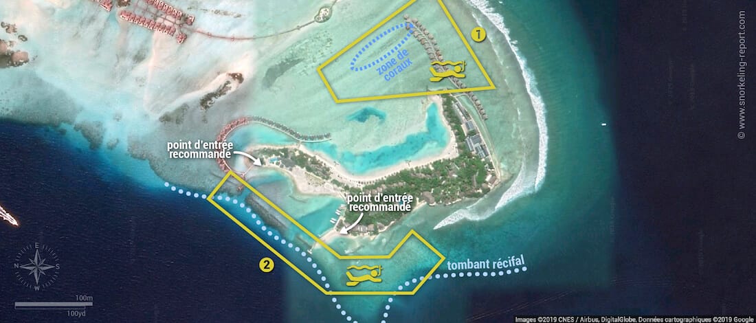 Carte snorkeling à Dhonveli