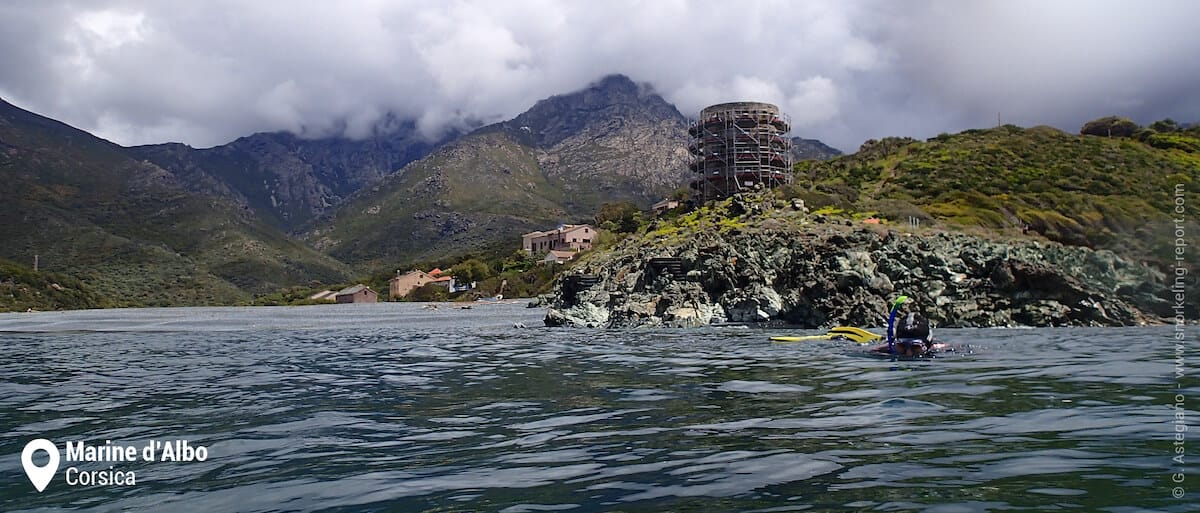 Snorkeling at the foot of Albo tower