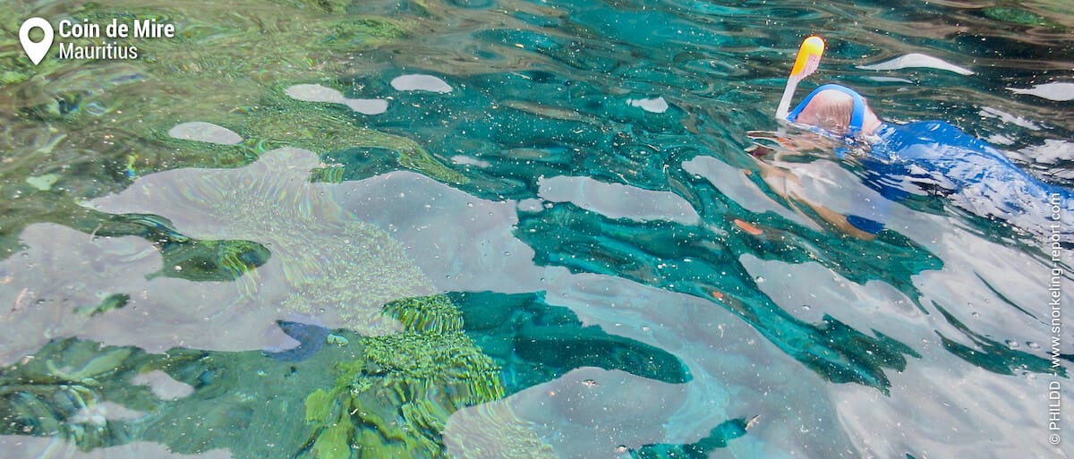 Snorkeler in crystal-clear water at Coin de Mire reef