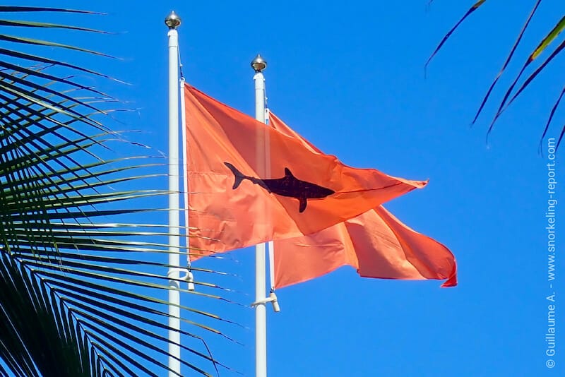 Respect local laws and regulations