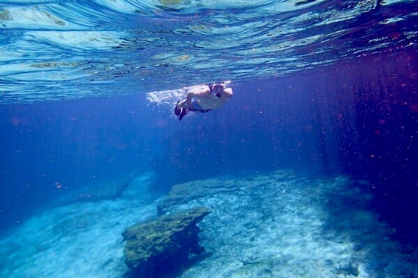 Snorkeling Cenote in Tulum