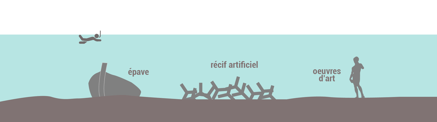 Epaves et récifs artificiels