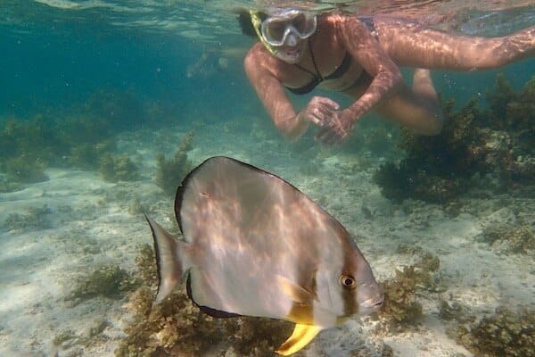 Snorkeling en lagon aux Seychelles