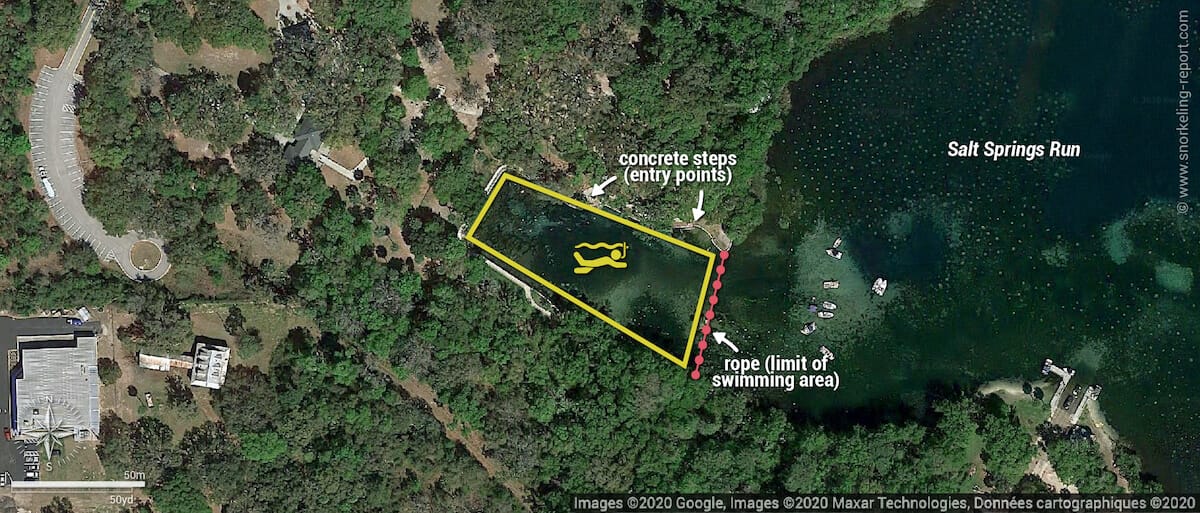 Salt Springs snorkeling map