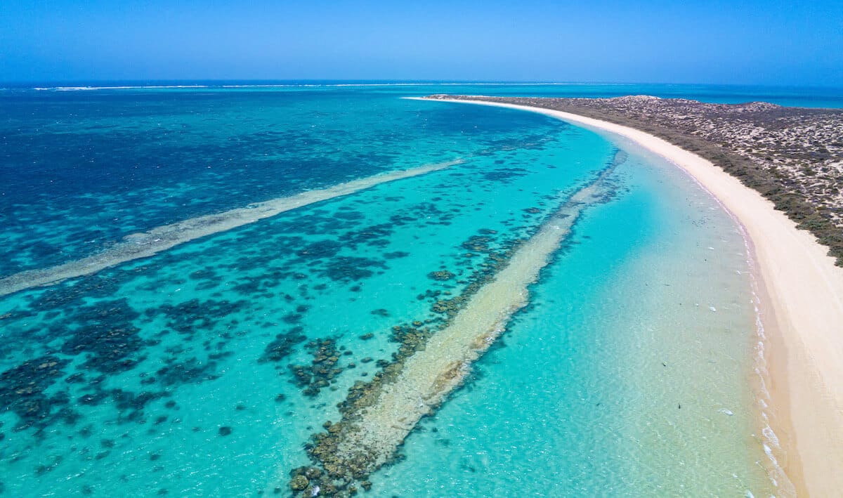 Sharks sanctuary, Coral Bay
