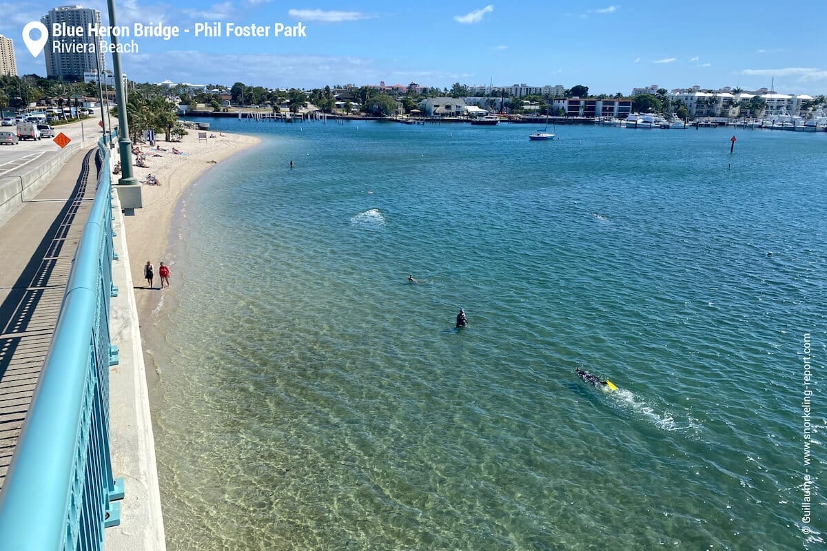 Phil Foster snorkeling trail from Blue Heron Brigde