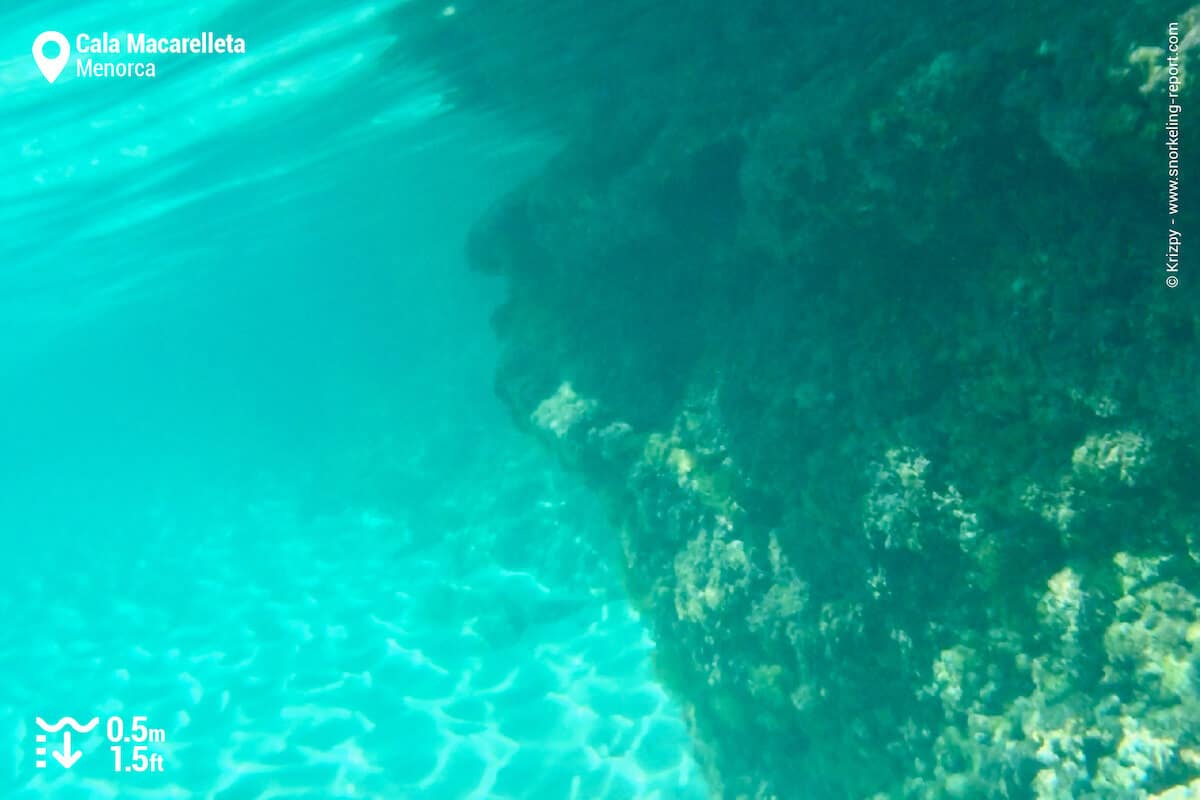 Seabed at Macarelleta