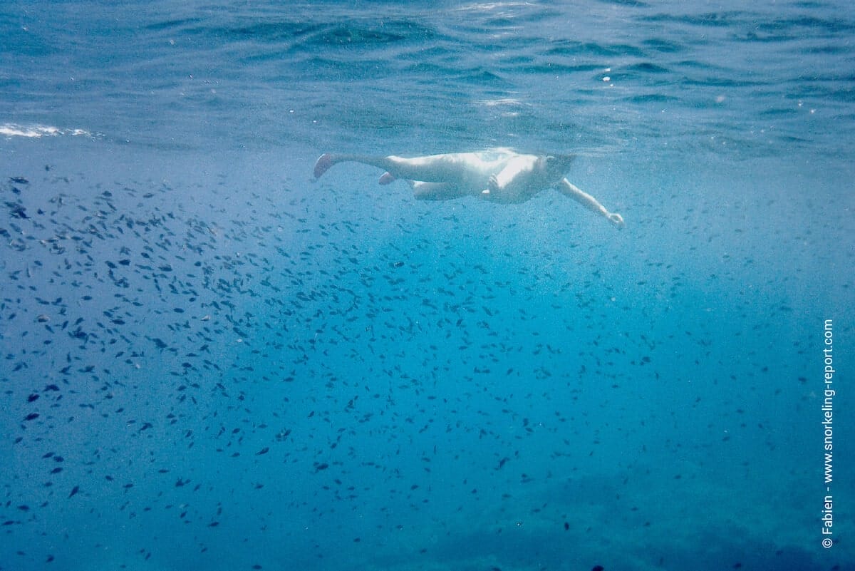 Snorkeler at Blue Grotto, Malta