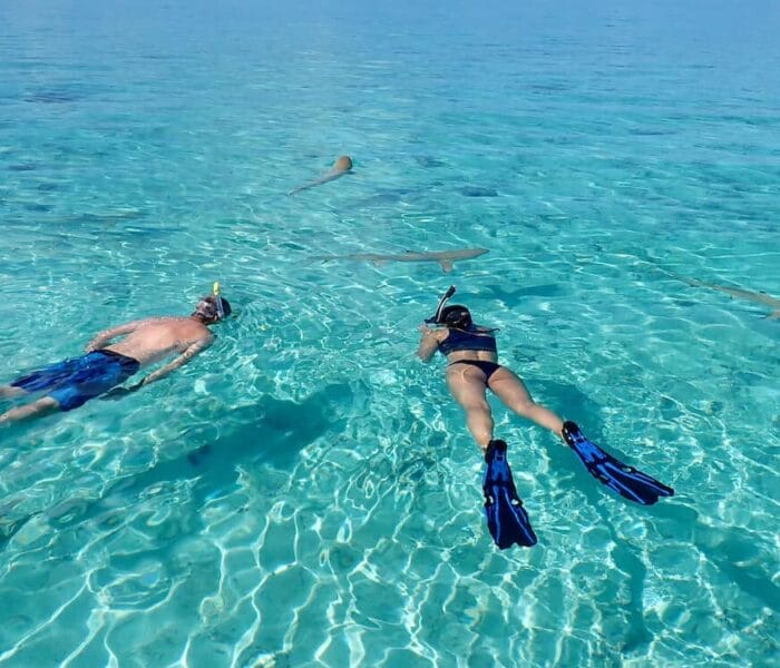 Banc des Requins de Toopua